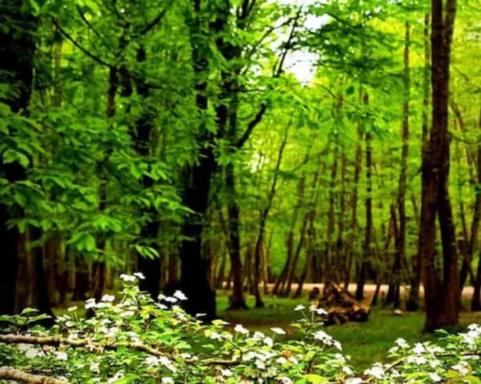 مکان های تورسیتی مسیر چالوس به بابلسر